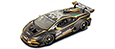 Lamborghini Huracan Super Trofeo Evo (blac matt/gold).